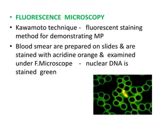 • FLUORESCENCE MICROSCOPY
• Kawamoto technique - fluorescent staining
method for demonstrating MP
• Blood smear are prepared on slides & are
stained with acridine orange & examined
under F.Microscope - nuclear DNA is
stained green
 