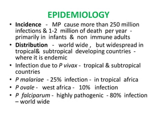 EPIDEMIOLOGY
• Incidence - MP cause more than 250 million
infections & 1-2 million of death per year -
primarily in infants & non immune adults
• Distribution - world wide , but widespread in
tropical& subtropical developing countries -
where it is endemic
• Infection due to P vivax - tropical & subtropical
countries
• P malariae - 25% infection - in tropical africa
• P ovale - west africa - 10% infection
• P falciparum - highly pathogenic - 80% infection
– world wide
 
