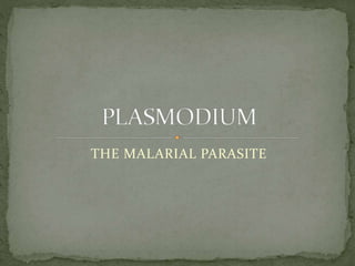THE MALARIAL PARASITE
 