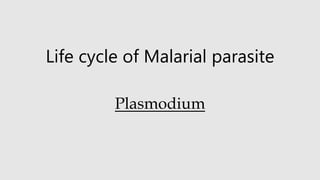 Life cycle of Malarial parasite
Plasmodium
 