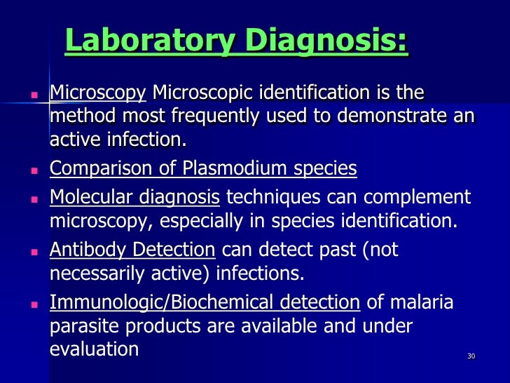 Plasmodium malarial parasite