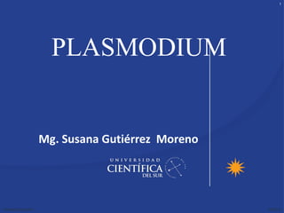 1




                          PLASMODIUM


                        Mg. Susana Gutiérrez Moreno




Presidencia Ejecutiva                                 06/05/12
 