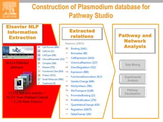 Data Mining
Experimental
Analysis
Pathway
Visualization
• future
Construction of Plasmodium database for
Pathway Studio
13,352 full-text articles =
10,221 from Pubmed Central
+ 3,230 from Elsevier
36,614 PubMed
abstracts
 