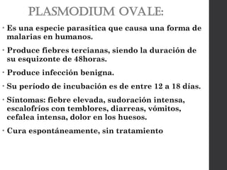 Plasmodium ovale:
• Es una especie parasítica que causa una forma de
malarias en humanos.
• Produce fiebres tercianas, siendo la duración de
su esquizonte de 48horas.
• Produce infección benigna.
• Su período de incubación es de entre 12 a 18 días.
• Síntomas: fiebre elevada, sudoración intensa,
escalofríos con temblores, diarreas, vómitos,
cefalea intensa, dolor en los huesos.
• Cura espontáneamente, sin tratamiento
 