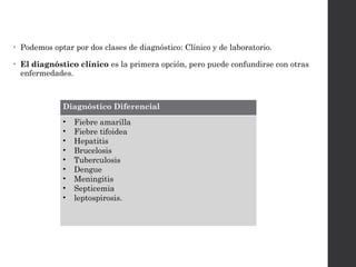 • Podemos optar por dos clases de diagnóstico: Clínico y de laboratorio.
• El diagnóstico clínico es la primera opción, pero puede confundirse con otras
enfermedades.
Diagnóstico Diferencial
• Fiebre amarilla
• Fiebre tifoidea
• Hepatitis
• Brucelosis
• Tuberculosis
• Dengue
• Meningitis
• Septicemia
• leptospirosis.
 