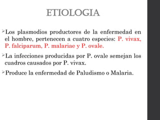 ETIOLOGIA
Los plasmodios productores de la enfermedad en
el hombre, pertenecen a cuatro especies: P. vivax,
P. falciparum, P. malariae y P. ovale.
La infecciones producidas por P. ovale semejan los
cuadros causados por P. vivax.
Produce la enfermedad de Paludismo o Malaria.
 