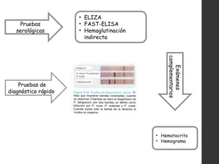 Pruebas de
diagnóstico rápido
Pruebas
serológicas
Exámenes
complementarios
• ELIZA
• FAST-ELISA
• Hemaglutinación
indirecta
• Hematocrito
• Hemograma
 