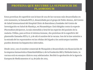 PROTEINA QUE RECUBRE LA SUPERFICIE DE
PLASMODIUM
 