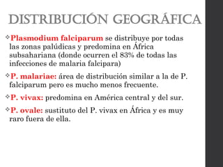 DISTRIBUCIÓN GEOGRÁFICA
Plasmodium falciparum se distribuye por todas
las zonas palúdicas y predomina en África
subsahariana (donde ocurren el 83% de todas las
infecciones de malaria falcipara)
P. malariae: área de distribución similar a la de P.
falciparum pero es mucho menos frecuente.
P. vivax: predomina en América central y del sur.
P. ovale: sustituto del P. vivax en África y es muy
raro fuera de ella.
 