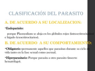 Clasificación del parasito
A. DE ACUERDO A SU LOCALIZACION:
Endoparásito:
porque Plasmodium se aloja en los glóbulos rojos (intra-eritrocitarios)
e hígado (exoeritrocitarios).
B. DE ACUERDO A SU COMPORTAMIENTO:
Obligatorio :permanente aquellos que parasitan durante su ciclo de
vida tanto en la fase sexual como asexual.
Hiperparasitario: Porque parasita a otro parasito (insecto
hematófago).
 
