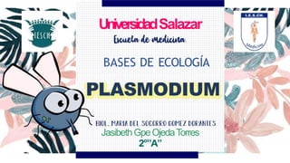 UniversidadSalazar
BASES DE ECOLOGÍA
PLASMODIUM
JasibethGpeOjedaTorres
2°”A”
 