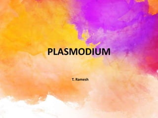 PLASMODIUM
T. Ramesh
 