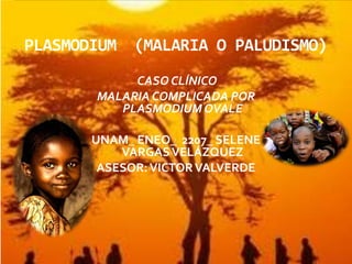 PLASMODIUM   (MALARIA O PALUDISMO)
            CASO CLÍNICO
       MALARIA COMPLICADA POR
          PLASMODIUM OVALE

       UNAM_ ENEO_ 2207_ SELENE
           VARGAS VELÁZQUEZ
        ASESOR: VICTOR VALVERDE
 