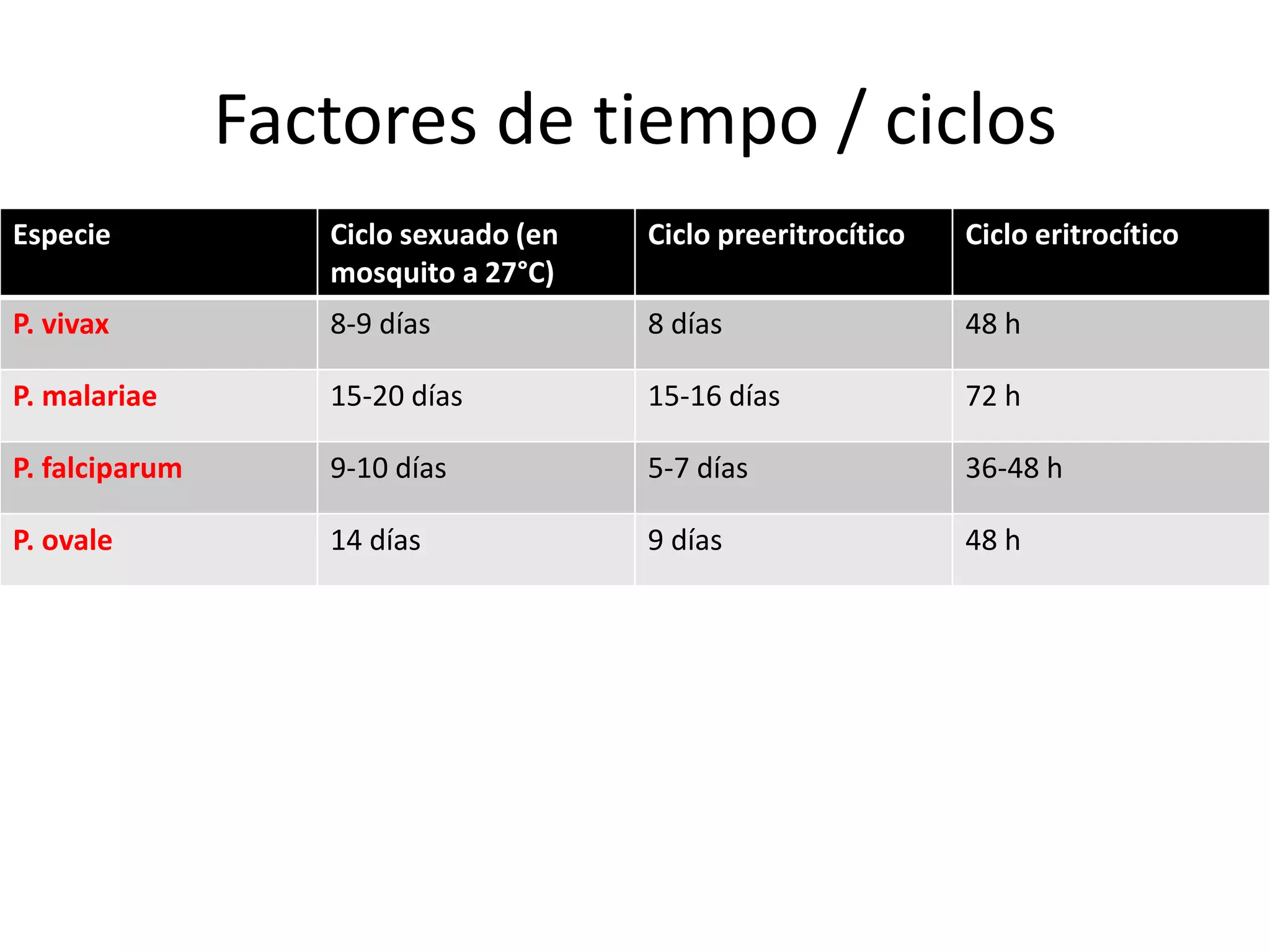 Factores de tiempo / ciclos
