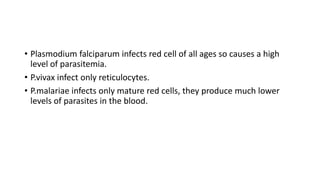 • Plasmodium falciparum infects red cell of all ages so causes a high
level of parasitemia.
• P.vivax infect only reticulocytes.
• P.malariae infects only mature red cells, they produce much lower
levels of parasites in the blood.
 