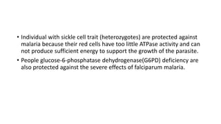 • Individual with sickle cell trait (heterozygotes) are protected against
malaria because their red cells have too little ATPase activity and can
not produce sufficient energy to support the growth of the parasite.
• People glucose-6-phosphatase dehydrogenase(G6PD) deficiency are
also protected against the severe effects of falciparum malaria.
 