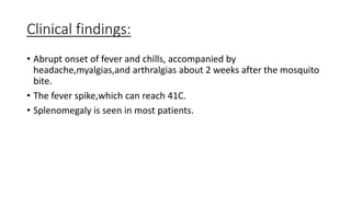 Clinical findings:
• Abrupt onset of fever and chills, accompanied by
headache,myalgias,and arthralgias about 2 weeks after the mosquito
bite.
• The fever spike,which can reach 41C.
• Splenomegaly is seen in most patients.
 