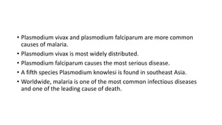 • Plasmodium vivax and plasmodium falciparum are more common
causes of malaria.
• Plasmodium vivax is most widely distributed.
• Plasmodium falciparum causes the most serious disease.
• A fifth species Plasmodium knowlesi is found in southeast Asia.
• Worldwide, malaria is one of the most common infectious diseases
and one of the leading cause of death.
 