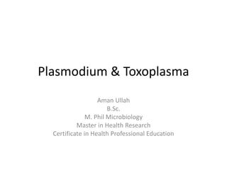 Plasmodium & Toxoplasma
Aman Ullah
B.Sc.
M. Phil Microbiology
Master in Health Research
Certificate in Health Professional Education
 