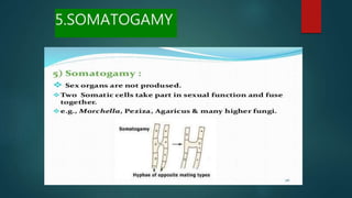 5.SOMATOGAMY
 