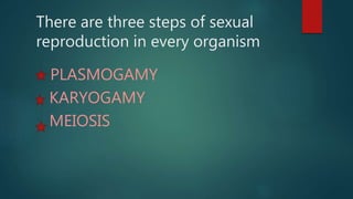Plasmogamy PPT