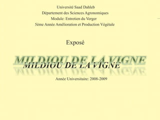 Université Saad Dahleb
Département des Sciences Agronomiques
Module: Entretien du Verger
5ème Année Amélioration et Production Végétale
Exposé
MILDIOU DE LA VIGNE
Année Universitaire: 2008-2009
 