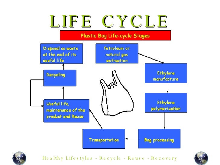 Plastic Fantastic Starter & Activity