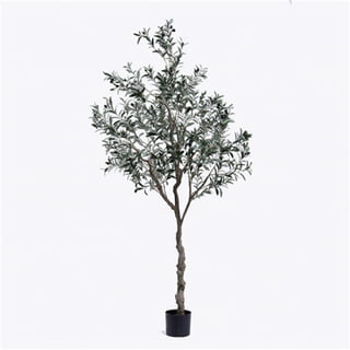 Plastic olive-tree