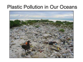 Plastic Pollution in Our Oceans 