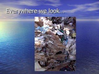 Everywhere we look… 