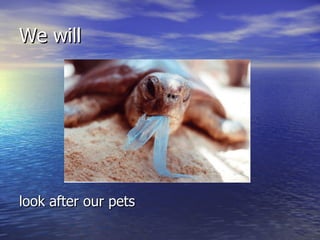 We will <ul><li>look after our pets </li></ul>