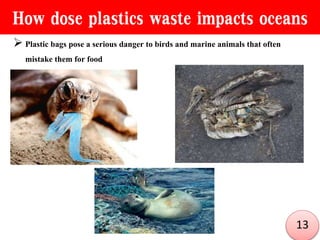 How dose plastics waste impacts oceans
 Plastic bags pose a serious danger to birds and marine animals that often
mistake them for food

13
 