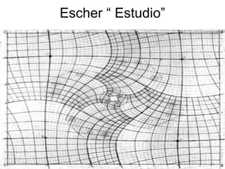 Escher “ Estudio”
 
