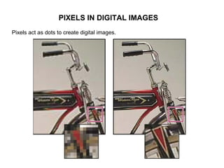 PIXELS IN DIGITAL IMAGES
Pixels act as dots to create digital images.
 