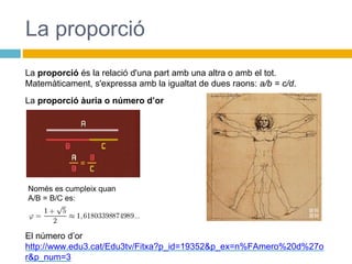 La proporció
La proporció és la relació d'una part amb una altra o amb el tot.
Matemàticament, s'expressa amb la igualtat de dues raons: a/b = c/d.
La proporció àuria o número d’or
El número d’or
http://www.edu3.cat/Edu3tv/Fitxa?p_id=19352&p_ex=n%FAmero%20d%27o
r&p_num=3
Només es cumpleix quan
A/B = B/C es:
 