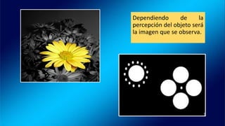 Dependiendo de la
percepción del objeto será
la imagen que se observa.
 