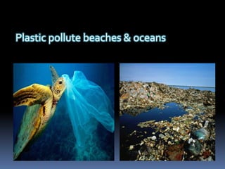 Plastic pollute beaches & oceans
 