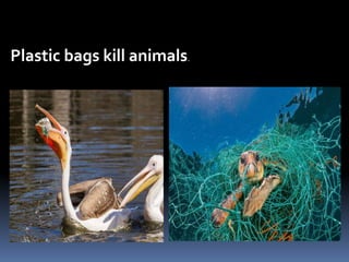 Plastic bags kill animals.
 