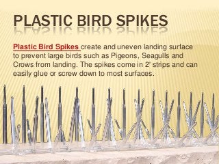 PLASTIC BIRD SPIKES
Plastic Bird Spikes create and uneven landing surface
to prevent large birds such as Pigeons, Seagulls and
Crows from landing. The spikes come in 2' strips and can
easily glue or screw down to most surfaces.
 