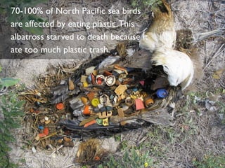 Plastic Bottles & Ocean Pollution