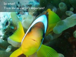 Plastic Bottles & Ocean Pollution