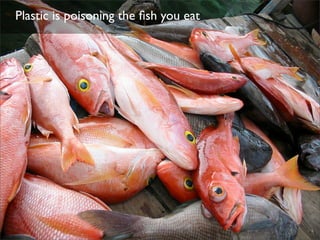 Plastic Bottles & Ocean Pollution