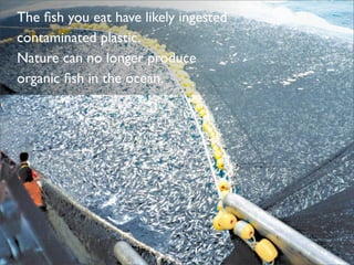 Plastic Bottles & Ocean Pollution