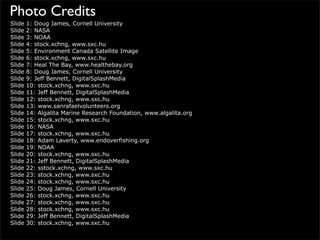 Plastic Bottles & Ocean Pollution