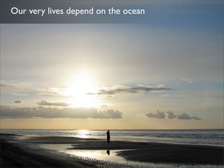 Plastic Bottles & Ocean Pollution