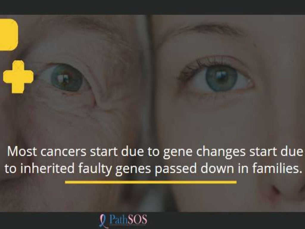 Do plastic bottles or food containers cause cancer?