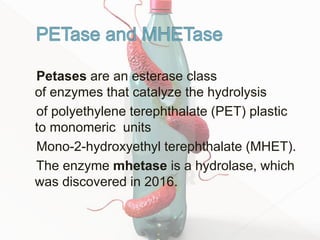 Petases are an esterase class
of enzymes that catalyze the hydrolysis
of polyethylene terephthalate (PET) plastic
to monomeric units
Mono-2-hydroxyethyl terephthalate (MHET).
The enzyme mhetase is a hydrolase, which
was discovered in 2016.
 
