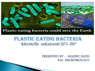 PLASTIC EATING BACTERIa
“Ideonella sakaiensis 201-F6”
PRESENTED BY – MADHU NATH
B.Sc. MICROBIOLOGY
 