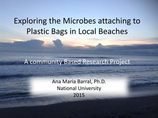 Exploring the Microbes attaching to
Plastic Bags in Local Beaches
A community Based Research Project
Ana Maria Barral, Ph.D.
National University
2015
 
