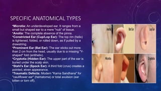 Prominent Helical Rim Ancient Indian Plastic Surgery Techniques: Karna Sandhana and Ear ...